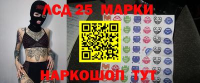 гашик Кулебаки