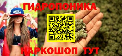 гашик Кулебаки