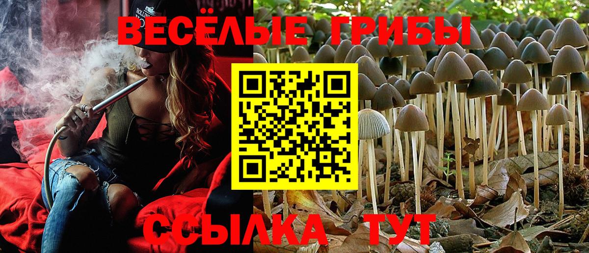 Галлюциногенные грибы Psilocybine cubensis Уварово